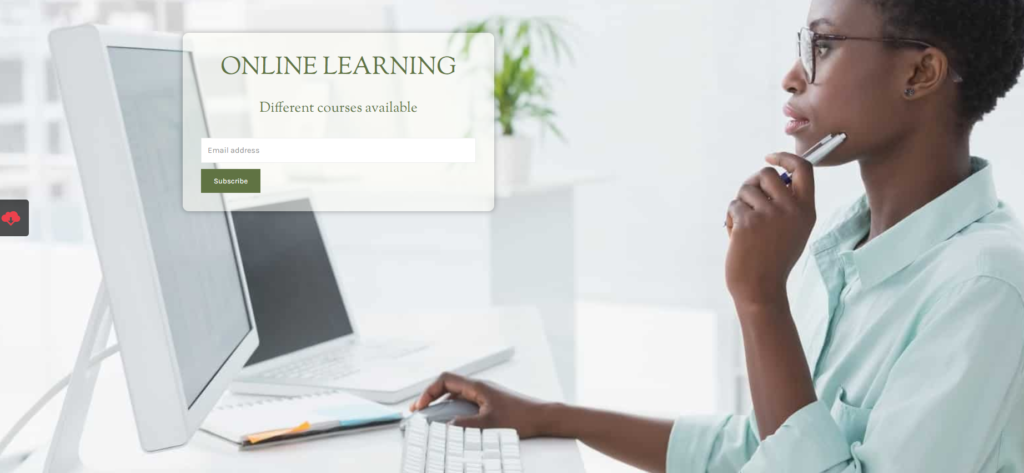 Online Learning preview